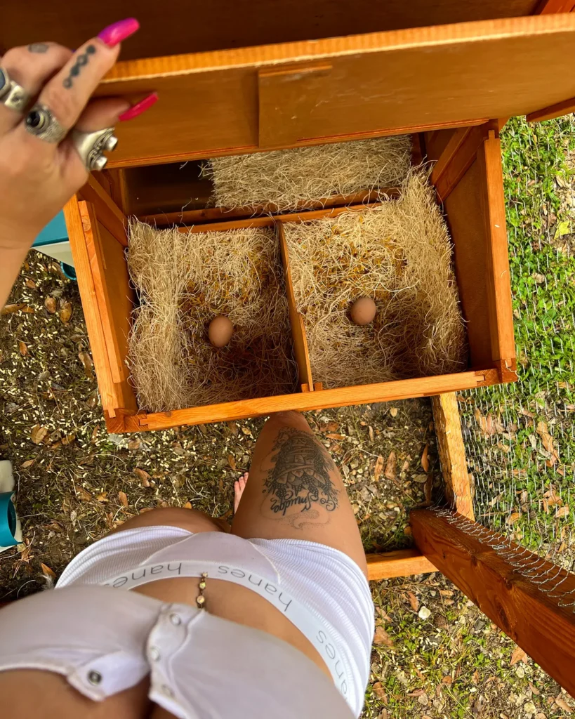 Indica Flower collecting eggs laid by her chickens - NudeNewz